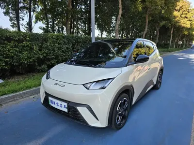 BYD Seagull