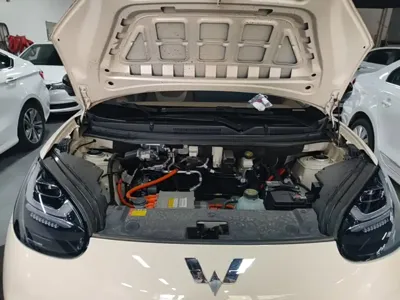 Wuling Bingo