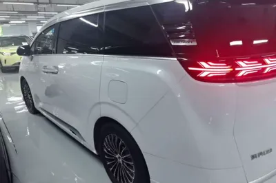 Denza D9