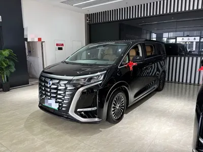 Denza Denza D9