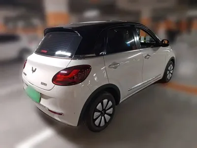 Wuling Bingo