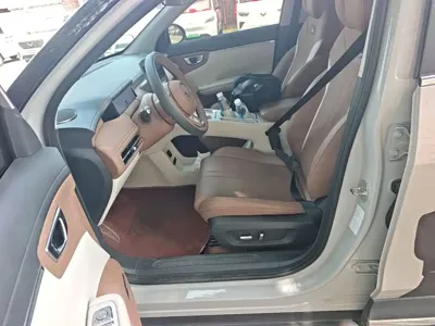 Wuling 缤果S