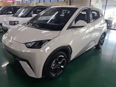 BYD Seagull