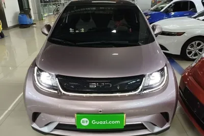 BYD Dolphin
