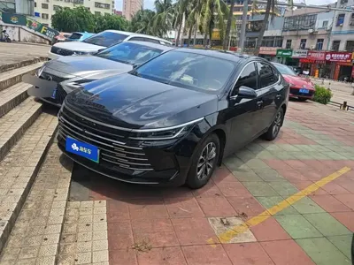 BYD Destroyer 05