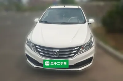 Baojun 310