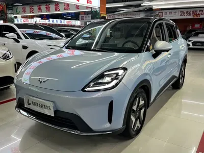 Wuling 缤果S