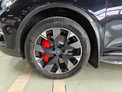 BYD Tang New Energy