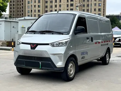 Wuling Wuling EV50