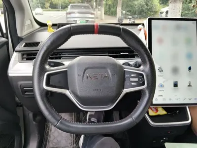 NETA Neta V
