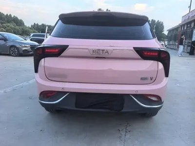 NETA Neta V