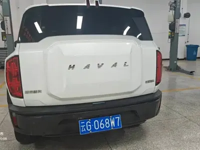 Haval Cool Dog