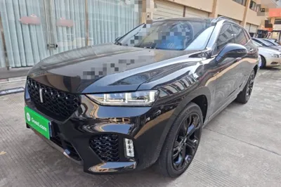 WEY VV7