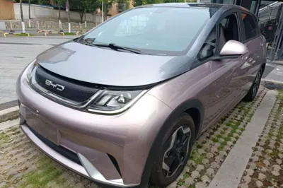 BYD Dolphin