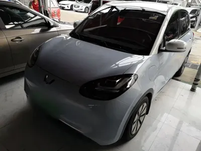 Wuling Bingo