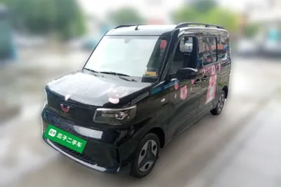 Wuling Zhiguang New Energy
