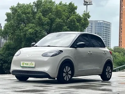 Wuling Bingo