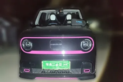 Geely Galaxy Panda