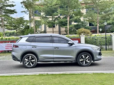 BYD Pro New Energy