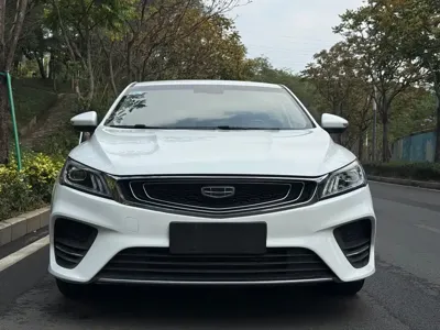 Geely Binrui