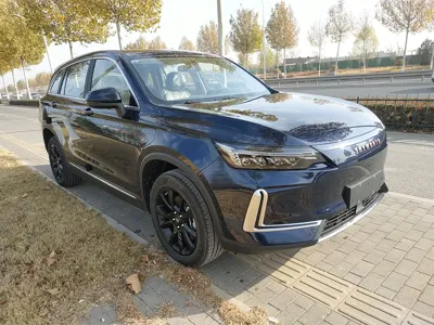 Skyworth EV6