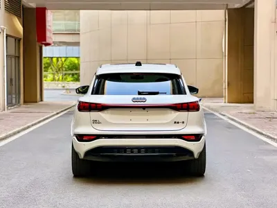 Audi 奥迪Q6L e-tron