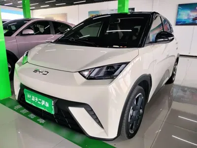 BYD Seagull
