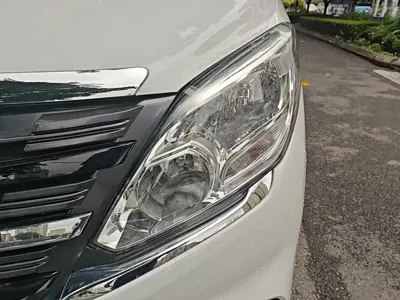Fengxing Lingzhi PLUS