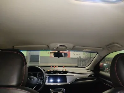 Geely Auto Binray