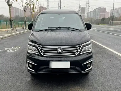 Fengxing Lingzhi
