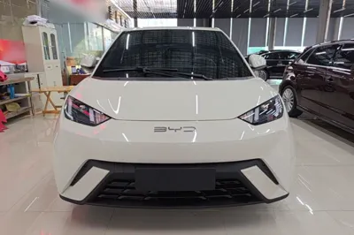 BYD Seagull