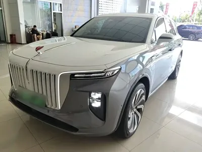 Hongqi Hongqi E-HS9