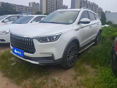 Leopaard Mattu