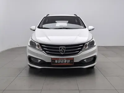 Baojun 310