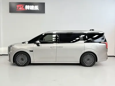 Zeekr 009