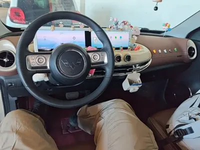 Wuling Bingo