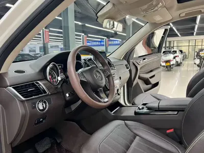 Mercedes-Benz 奔驰GLE(进口)