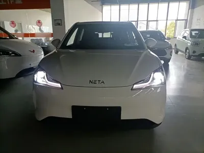 NETA Neta V