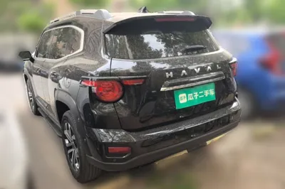 Haval H Dog