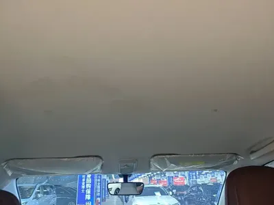 Wuling Bingo