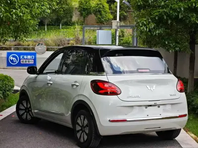Wuling Bingo