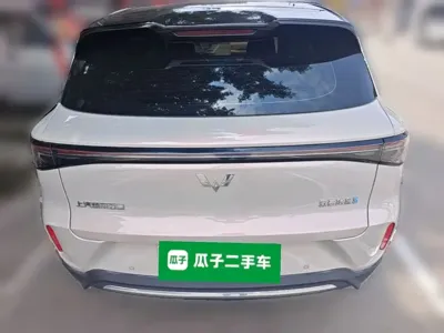 Wuling 缤果S