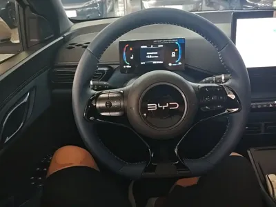 BYD Seagull