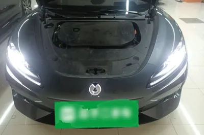 Denza Z9