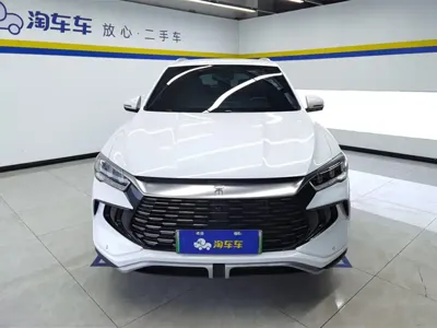 BYD Pro New Energy