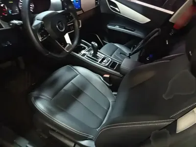 BYD MAX