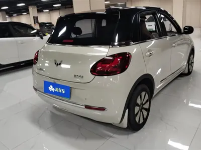 Wuling Bingo