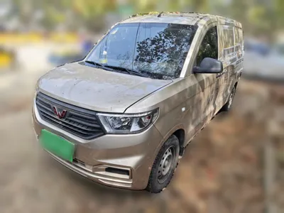 Wuling Hongguang V