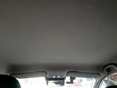 NETA Neta V