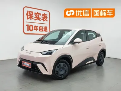 BYD Seagull